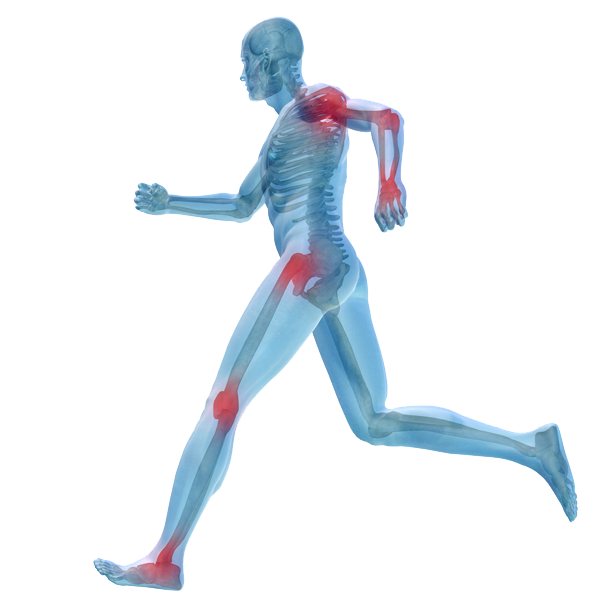 Sports Injury & Rehab 2 sports injury rehab