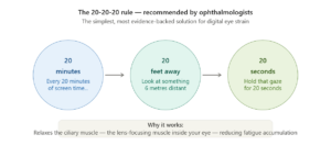 Infographic explaining the 20-20-20 rule for digital eye strain relief, showing that every 20 minutes of screen time, users should look at something 20 feet away for 20 seconds to relax eye muscles, reduce visual fatigue, and help prevent Computer Vision Syndrome symptoms.